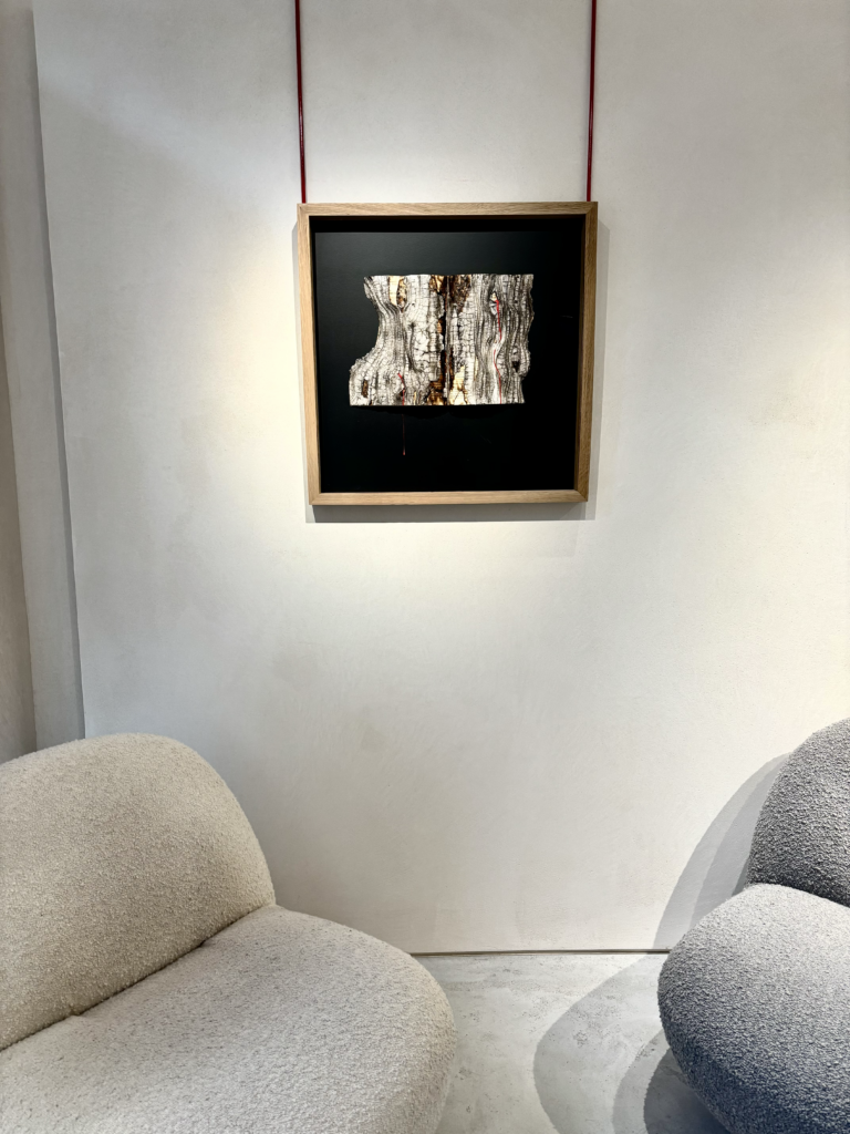 L'Entropiste nouvelle marque parisienne