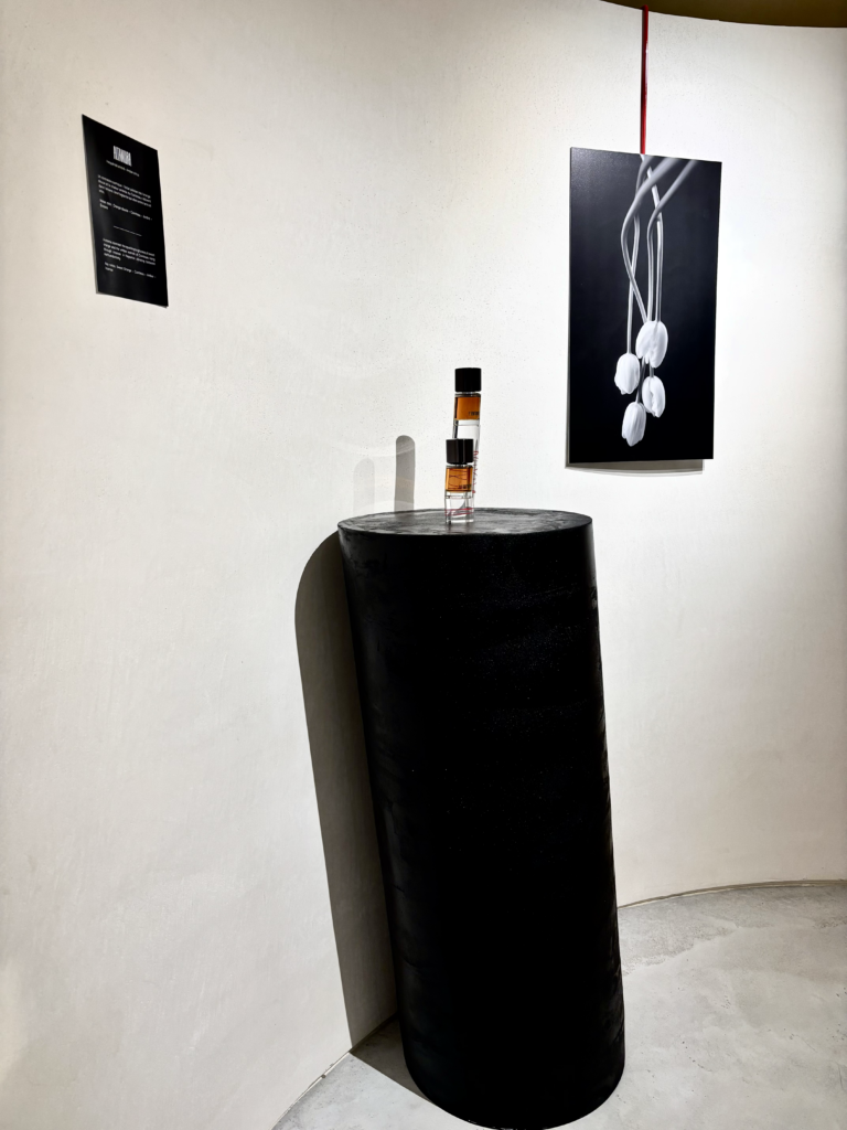 L'Entropiste nouvelle marque parisienne